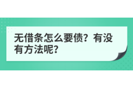 定安债务清欠服务